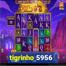 tigrinho 5956